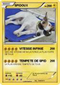 SPIDOUX