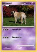 bullmastiff