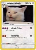 gato perturbado