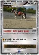 Courseur