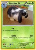 dubunbun EX