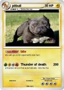 pitbull