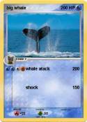 big whale