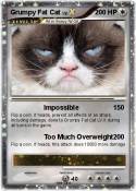 Grumpy Fat Cat