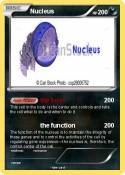 Nucleus