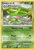 Lombre niv 30