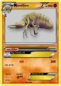 antlion