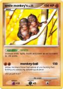 smile monkey's