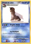 Angelicat