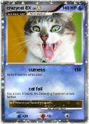 crazycat EX
