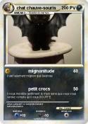 chat chauve-sou