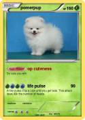 pomerpup