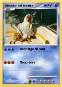 labrador est