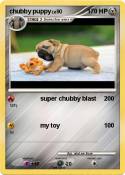 chubby puppy