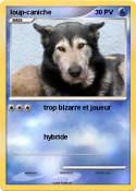 loup-caniche