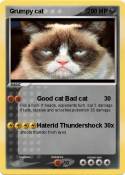Grumpy cat