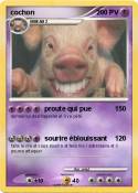 cochon