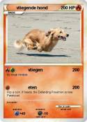 vliegende hond