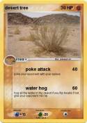 desert tree