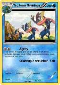 Tag team Grenin