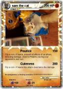 sam the cat