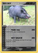 SOY SOY