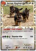 German Shephard