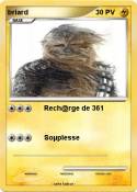 briard