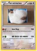 Fat cat ina