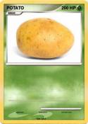 POTATO