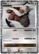 chat