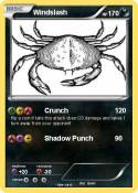 Windslash