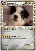 A puppy :D