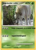 loup-border