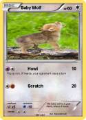 Baby Wolf