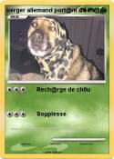 berger allemand