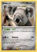 koala