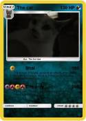 The cat