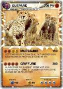 GUEPARD