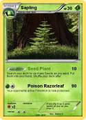 Sapling