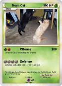 Team Cat