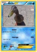 ducku