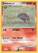 Turkacue