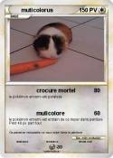 muticolorus