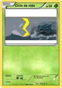 Ciclo da vida