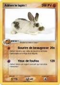 Adrien le lapin