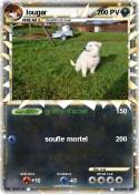 lougar