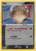 Chat