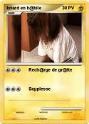 briard en