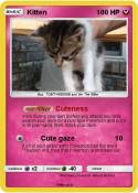Kitten
